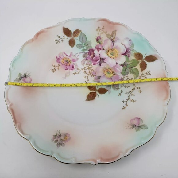 Vintage VTG Schumann Arzberg Germany #35 Wild Rose Bavaria Porcelain 12" Plate - Picture 5 of 7